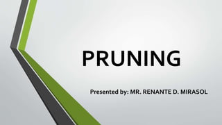 PRUNING
Presented by: MR. RENANTE D. MIRASOL
 
