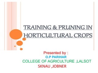 Presented by :
O.P PARIHAR
COLLEGE OF AGRICULTURE ,LALSOT
SKNAU ,JOBNER
 