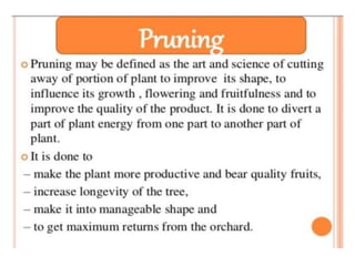 Pruning and training | PPTX
