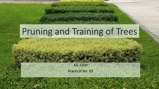 Pruning and Training of Trees
AG 2209
Practical No. 03
P.A.S.S. Pushpakumara | ATI - GAMPAHA
 