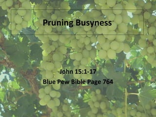 Pruning Busyness John 15:1-17 Blue Pew Bible Page 764 