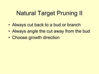 Natural Target Pruning II
• Always cut back to a bud or branch
• Always angle the cut away from the bud
• Choose growth di...