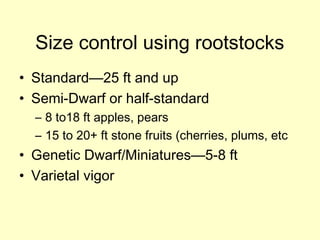 Size control using rootstocks
• Standard—25 ft and up
• Semi-Dwarf or half-standard
  – 8 to18 ft apples, pears
  – 15 to ...