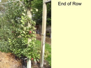 End of Row
 
