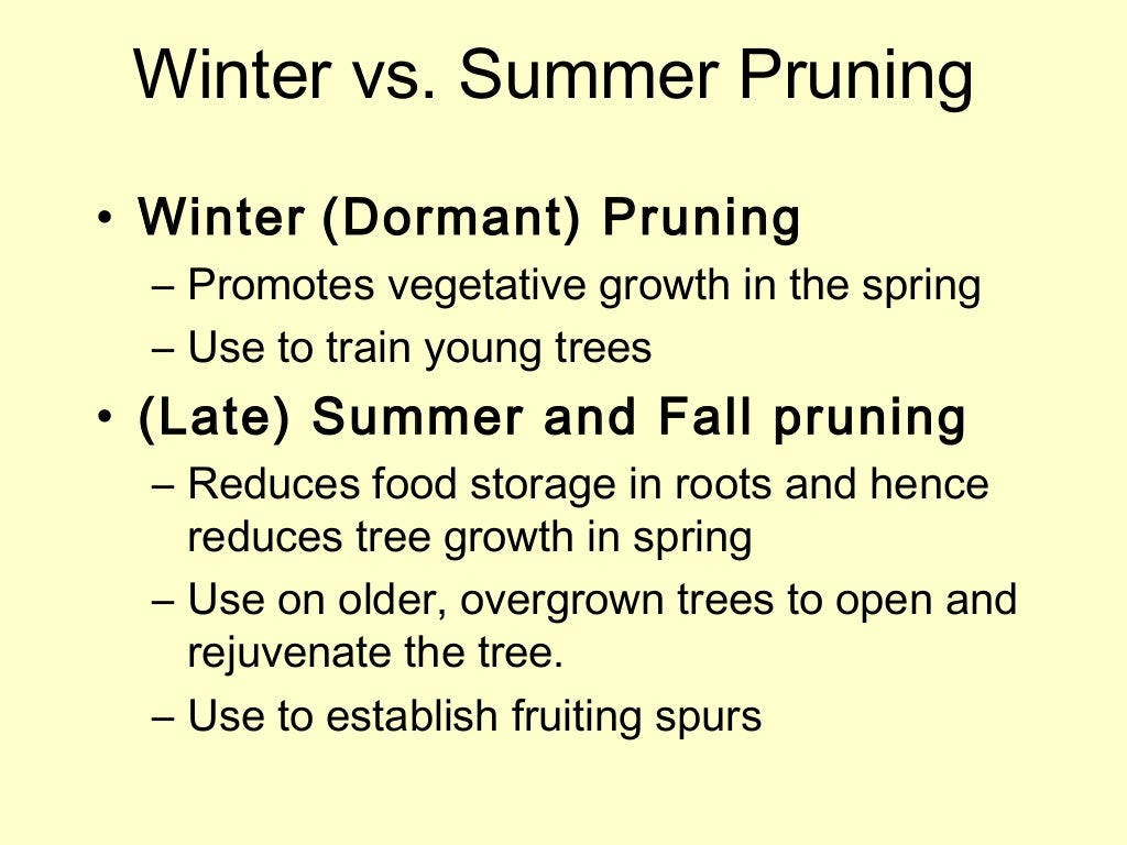 Grow Your Own, Nevada! Spring 2012 Training and Pruning Fruit Trees