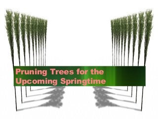 Pruning Trees for the
Upcoming Springtime

 