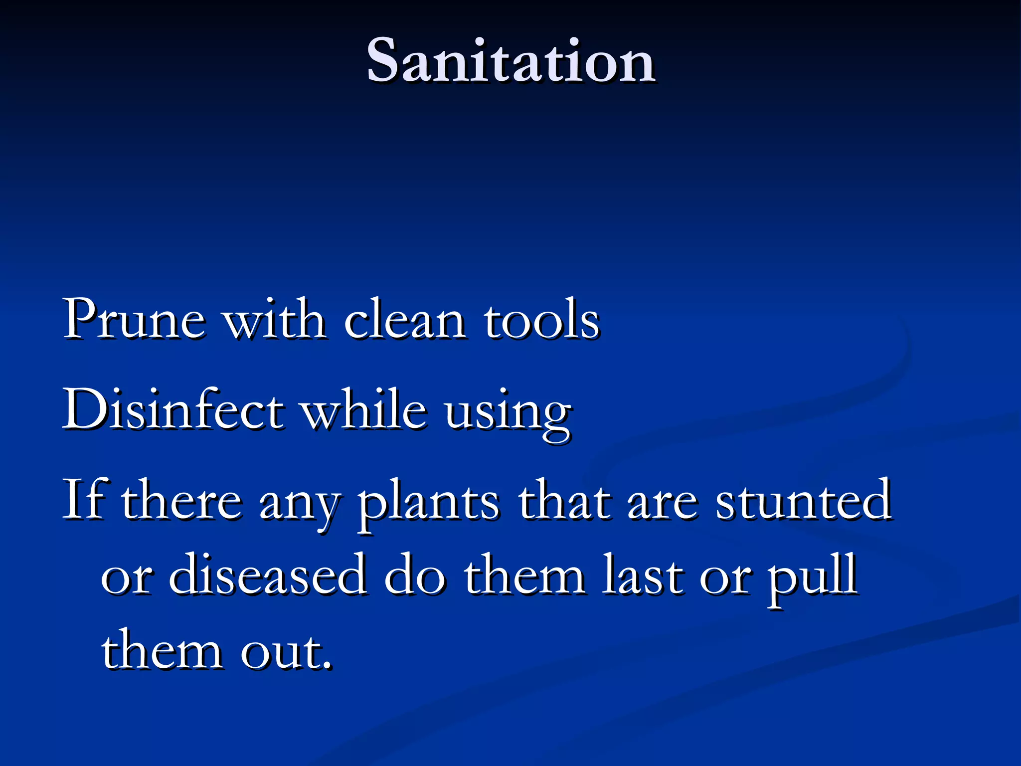 Sanitation


Prune with clean tools
Disinfect while using
If there any plants that are stunted
  or diseased do them last or pull
  them out.
 