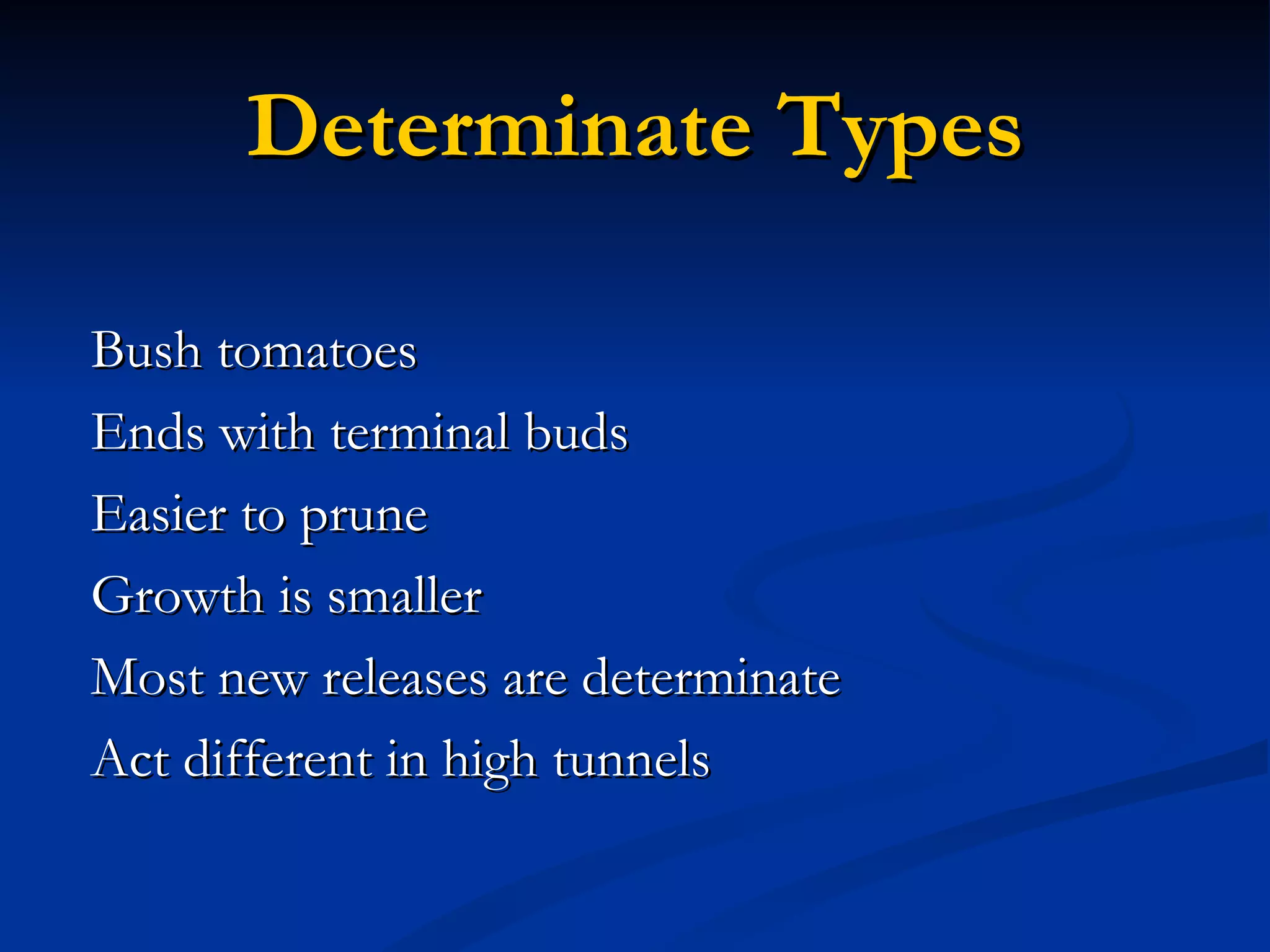 Determinate Types

Bush tomatoes
Ends with terminal buds
Easier to prune
Growth is smaller
Most new releases are determinate
Act different in high tunnels
 