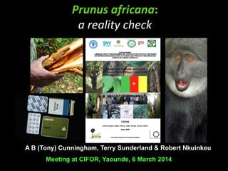 Prunus	
  africana:	
  	
  
a	
  reality	
  check

A B (Tony) Cunningham, Terry Sunderland & Robert Nkuinkeu	

Meeting at CIFOR, Yaounde, 6 March 2014	


 