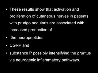 • These results show that activation and
proliferation of cutaneous nerves in patients
with prurigo nodularis are associated with
increased production of
• the neuropeptides
• CGRP and
• substance P possibly intensifying the pruritus
via neurogenic inflammatory pathways.
 