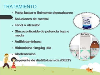 TRATAMIENTO
 Pastalassar o linimento oleocalcareo
 Soluciones de mentol
 Fenol o alcanfor
 Glucocorticoide de potencia baja o
media
 Antihistaminicos:_
 Hidroxicina1mg/kg día
 Clorfenamina
 Repelente de dietiltoluamida (DEET)
 
