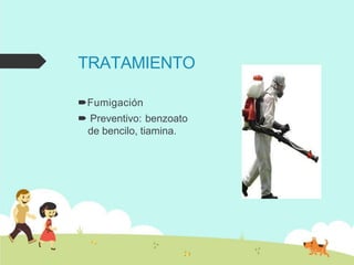 TRATAMIENTO
Fumigación
 Preventivo: benzoato
de bencilo, tiamina.
 