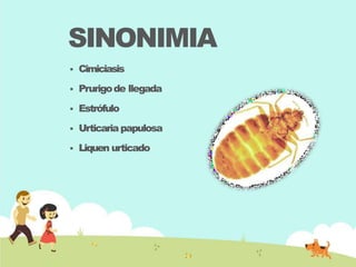 SINONIMIA
 Cimiciasis
 Prurigode llegada
 Estrófulo
 Urticariapapulosa
 Liquen urticado
 