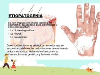 ETIOPATOGENIA
Se han propuesto múltiples teorías para
entender la patogénesis de la enfermedad y
entre ellas resaltan:
• La hipótesis genética
• La neural
• La autoinmune.
Otros posibles factores etiológicos, entre los que se
encuentran: deficiencias de los factores de crecimiento
de los melanocitos, defectos intrínsecos en su
adhesión, factores genéticos y factores virales.
 