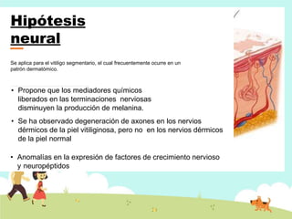 Hipótesis
neural
Se aplica para el vitiligo segmentario, el cual frecuentemente ocurre en un
patrón dermatómico.
• Propone que los mediadores químicos
liberados en las terminaciones nerviosas
disminuyen la producción de melanina.
• Se ha observado degeneración de axones en los nervios
dérmicos de la piel vitiliginosa, pero no en los nervios dérmicos
de la piel normal
• Anomalías en la expresión de factores de crecimiento nervioso
y neuropéptidos
 