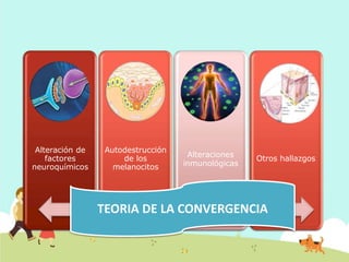 Alteración de
factores
neuroquímicos
Autodestrucción
de los
melanocitos
Alteraciones
inmunológicas
Otros hallazgos
TEORIA DE LA CONVERGENCIA
 
