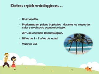 Datos epidemiológicos…
 Cosmopolita
 Predominaen países tropicales durante losmesesde
calorynivelsocioeconómico bajo.
 28% deconsulta Dermatológica.
 Niñosde1 – 7 añosde edad.
 Varones 3:2.
 