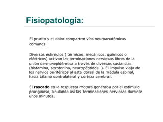 Fisiopatología : El prurito y el dolor comparten vías neuroanatómicas comunes. Diversos estímulos ( térmicos, mecánicos, químicos o eléctricos) activan las terminaciones nerviosas libres de la unión dermo-epidérmica a través de diversas sustancias (histamina, serotonina, neuropéptidos…). El impulso viaja de los nervios periféricos al asta dorsal de la médula espinal, hacia tálamo contralateral y corteza cerebral.  El  rascado  es la respuesta motora generada por el estímulo pruriginoso, anulando así las terminaciones nerviosas durante unos minutos. 