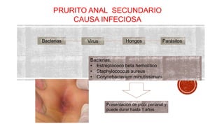 PRURITO ANAL SECUNDARIO 
CAUSA INFECIOSA 
Bacterias Virus Hongos Parásitos 
Bacterias. 
• Estreptococo beta hemolítico 
• Staphylococcus aureus 
• Corynebacterium minutissimum 
Presentación de picor perianal y 
puede durar hasta 1 años 
 