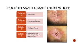 • Piel normal. 
Estadio 
0 
• Piel roja e inflamada. 
Estadio 
1 
• Piel liquenificada. 
Estadio 
2 
• Piel liquenificada, 
salientes gruesas y 
ulceraciones. 
Estadio 
3 
 