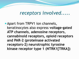 receptors involved.....
 Apart from TRPV1 ion channels,
keratinocytes also express voltage-gated
ATP channels, adenosine receptors,
cannabinoid receptors, opioid receptors
and PAR-2 (proteinase activated
receptors-2) neurotrophic tyrosine
kinase receptor type 1 (NTRK1[TRKA])
 