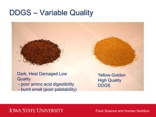 DDGS – Variable Quality




  Dark, Heat Damaged Low               Yellow-Golden
  Quality                              Hi...