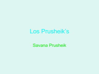 Los Prusheik’s Savana Prusheik 
