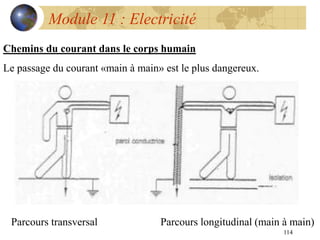 114
Module 11 : Electricité
Chemins du courant dans le corps humain
Le passage du courant «main à main» est le plus dangereux.
Parcours transversal Parcours longitudinal (main à main)
 