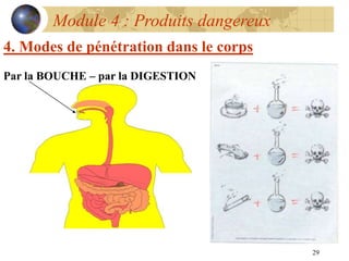 29
Module 4 : Produits dangereux
4. Modes de pénétration dans le corps
Par la BOUCHE – par la DIGESTION
 