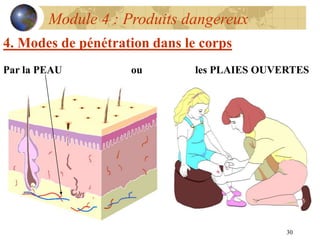 30
Module 4 : Produits dangereux
4. Modes de pénétration dans le corps
Par la PEAU ou les PLAIES OUVERTES
 