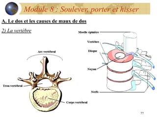 77
Module 8 : Soulever, porter et hisser
A. Le dos et les causes de maux de dos
2) La vertèbre
 