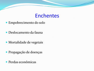 Enchentes
 Empobrecimento do solo


 Deslocamento da fauna


 Mortalidade de vegetais


 Propagação de doenças


 Perdas econômicas
 