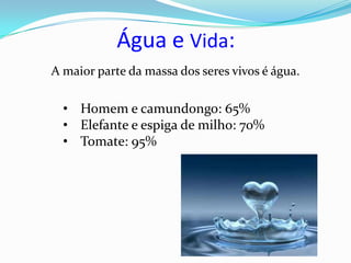 Água e Vida:
A maior parte da massa dos seres vivos é água.

  • Homem e camundongo: 65%
  • Elefante e espiga de milho: 70%
  • Tomate: 95%
 