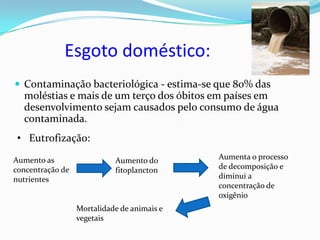 Esgoto doméstico:
 Contaminação bacteriológica - estima-se que 80% das
  moléstias e mais de um terço dos óbitos em países em
  desenvolvimento sejam causados pelo consumo de água
  contaminada.
 • Eutrofização:

Aumento as                  Aumento do       Aumenta o processo
concentração de             fitoplancton     de decomposição e
nutrientes                                   diminui a
                                             concentração de
                                             oxigênio
                  Mortalidade de animais e
                  vegetais
 