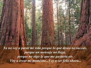 Ya no voy a parar mi vida porque lo que deseo no sucede,  porque un mensaje no llega,  porque no oigo lo que me gustaría oír. Voy a crear mi momento...Voy a ser feliz ahora... 