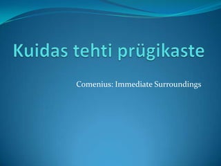 Comenius: Immediate Surroundings
 