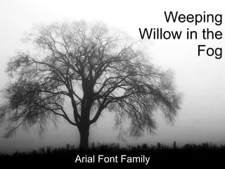 Weeping Willow in the Fog Arial Font Family 