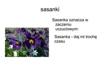 sasanki Sasanka oznacza w zaczeniu uczuciowym: Sasanka - daj mi trochę czasu 