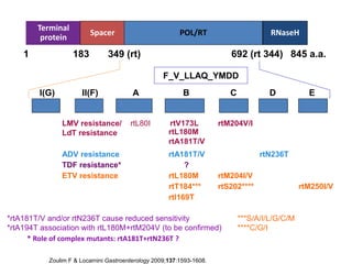 Terminal
protein
Spacer POL/RT RNaseH
1 183 349 (rt) 692 (rt 344) 845 a.a.
I(G) II(F) A B C D E
F_V_LLAQ_YMDD
*rtA181T/V and/or rtN236T cause reduced sensitivity
*rtA194T association with rtL180M+rtM204V (to be confirmed)
LMV resistance/ rtL80I
rtL180M
rtM204V/I
LdT resistance
rtA181T/V
ADV resistance rtA181T/V rtN236T
TDF resistance* ?
ETV resistance rtL180M rtM204I/V
rtT184*** rtS202**** rtM250I/V
rtl169T
***S/A/I/L/G/C/M
****C/G/I
Zoulim F & Locarnini Gastroenterology 2009;137:1593-1608.
rtV173L
* Role of complex mutants: rtA181T+rtN236T ?
 