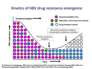 Kinetics of HBV drug resistance emergence
Si Ahmed et al. Hepatology. 2000; Yuen et al Hepatology 2001; Locarnini et al Antiviral Therapy 2004; Villet et al
Gastroenterology 2006 J Hepatol 2007 & 2008; Pallier et al J Virol 2007; Yim et al Hepatology 2006.
Treatment begins
Drug-resistant variant
Drug-susceptible virus
Naturally—occurring viral variants
Time
HBVreplication
Primary resistance
mutations
Secondary resistance mutations
/ compensatory resistance mutations
 