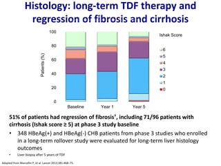 51% of patients had regression of fibrosis†, including 71/96 patients with
cirrhosis (Ishak score ≥ 5) at phase 3 study baseline
• 348 HBeAg(+) and HBeAg(-) CHB patients from phase 3 studies who enrolled
in a long-term rollover study were evaluated for long-term liver histology
outcomes
• Liver biopsy after 5 years of TDF
Histology: long-term TDF therapy and
regression of fibrosis and cirrhosis
Adapted from Marcellin P, et al. Lancet 2013;381:468–75.
† ≥1-point decrease in Ishak fibrosis score.
Ishak Score
0
20
40
60
80
100
Baseline Year 1 Year 5
6
5
4
3
2
1
0
 