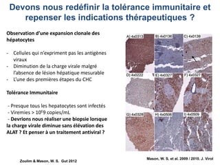 Mason, W. S. et al. 2009 / 2010. J. Virol
Devons nous redéfinir la tolérance immunitaire et
repenser les indications thérapeutiques ?
Observation d’une expansion clonale des
hépatocytes
- Cellules qui n’expriment pas les antigènes
viraux
- Diminution de la charge virale malgré
l’absence de lésion hépatique mesurable
- L’une des premières étapes du CHC
Tolérance Immunitaire
- Presque tous les hepatocytes sont infectés
- Viremies > 10E9 copies/mL
- Devrions nous réaliser une biopsie lorsque
la charge virale diminue sans élévation des
ALAT ? Et penser à un traitement antiviral ?
Zoulim & Mason, W. S. Gut 2012
 