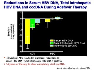 48 weeks of ADV resulted in significant reductions in :
serum HBV DNA > total intrahepatic HBV DNA > cccDNA
> 14 years of therapy to clear completely viral cccDNA
Werle et al, Gastroenterology 2004
 