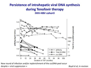 Persistence of intrahepatic viral DNA synthesis
during Tenofovir therapy
(HIV-HBV cohort)
Boyd et al, in revision
New round of infection and/or replenishment of the cccDNA pool occur
despite « viral suppression »
 
