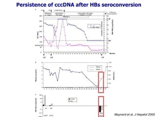 Maynard et al, J Hepatol 2005
Persistence of cccDNA after HBs seroconversion
 