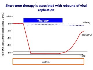 Therapy
HBVDNAchangefrombaseline(log10c/mL)
0.0
-1.0
-2.0
-3.0
-4.0
+1.0
Time
Short-term therapy is associated with rebound of viral
replication
HBsAg
HBVDNA
cccDNA
 