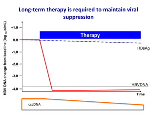 Therapy
HBVDNAchangefrombaseline(log10c/mL)
0.0
-1.0
-2.0
-3.0
-4.0
+1.0
Time
Long-term therapy is required to maintain viral
suppression
HBsAg
HBVDNA
cccDNA
 