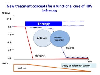 New treatment concepts for a functional cure of HBV
infection
Antivirals
Therapy
0.0
-1.0
-2.0
-3.0
-4.0
+1.0
Time
HBsAg
HBVDNA
cccDNA
Immune
restoration
SERUM
LIVER
Decay or epigenetic control
 