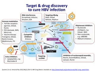 Target & drug discovery
to cure HBV infection
Immune modulation
• Toll-like receptors
agonists, Gilead,
Roche
• PD1 blockade, BMS,
Merck etc.
• Vaccine therapy
Transgene, Gilead,
Roche Innovio,
Medimmune, ITS
Zoulim F, et al. Antiviral Res 2012;96(2):256–9; HBF Drug Watch, Available at: http://www.hepb.org/professionals/hbf_drug_watch.htm.
HBx
Endosome
rcDNA
cccDNA
Polymerase
pgRNA
Core
Surface
proteins
Entry inhibitors
• Lipopeptides, e.g.
Myrcludex-B
Targeting
cccDNA
Inhibition of nucleocapsid assembly,
Novira, AssemblyBiosc, Gilead,
Janssen, Roche
Polymerase inhibitors
• Nucleoside
analogues, e.g.
Gilead, BMS
• Non-nucleoside,
e.g. LB80380
• RNAseH inhibitors
Targeting HBsAg
Mab, Gilead
Release, Replicor
RNA interference,
Arrowhead, Arbutus,
Alnylam, GSK
Cyclophilin
inhibitors
Arbutus
 
