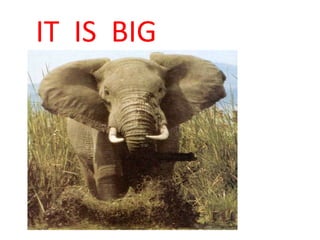 IT  IS  BIG<br />